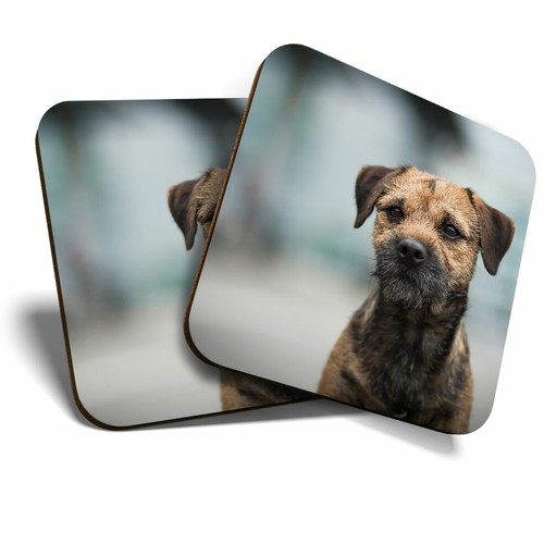 Coasters border terrier - 2, x