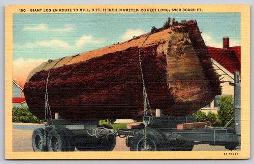 Giant log truck - linen, postcard