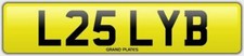 LESLEY B LESLEYS NUMBER PLATE
