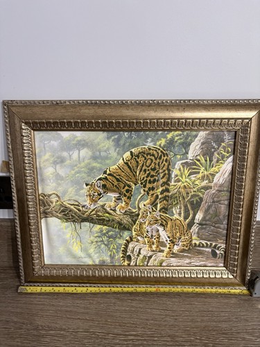 Stephen gayford rainforest - stephen,