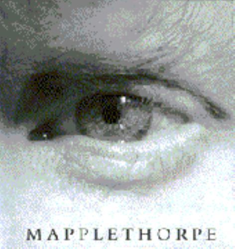Mapplethorpe 1st - 1st, ed