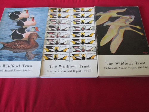 The wildfowl trust annual - the,