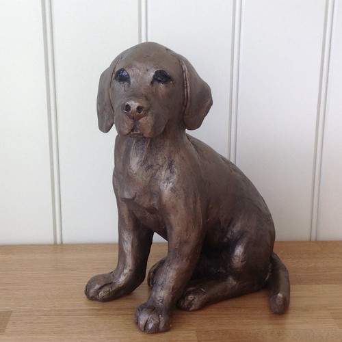 Toto labrador puppy - labrador, frith