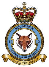RAF 12 SQUADRON BADGE ON METAL