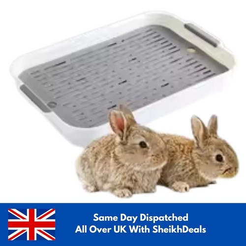 Rabbits training toilet - training,