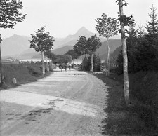 15x Photographic Stereoscopic