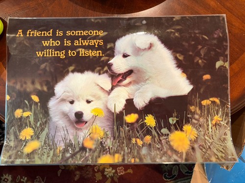 Vintage samoyed white puppies - vintage,