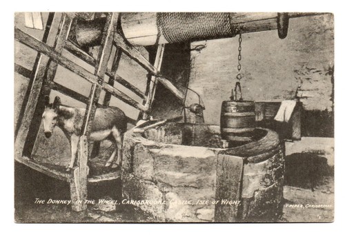 Antique postcard donkey - postcard,