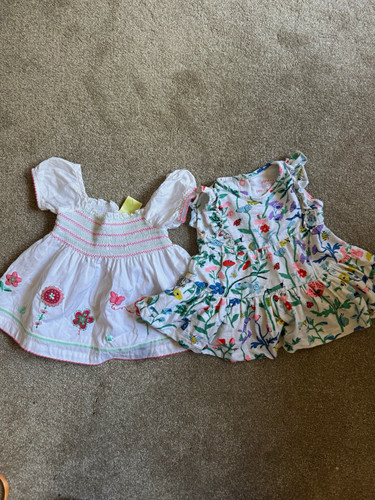 Pumpkin patch joules - pumpkin, patch/joules