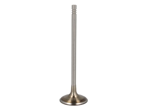 Intake valve 6732 fits - 6732, s