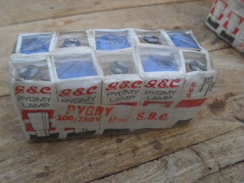 Blue pygmy bulbs - 10,