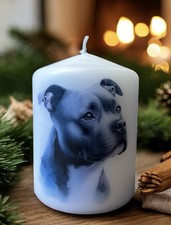 Blue grey Staffordshire Bull