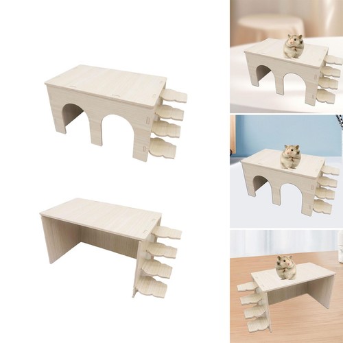 Hamster shelter sand bath - hamster, box