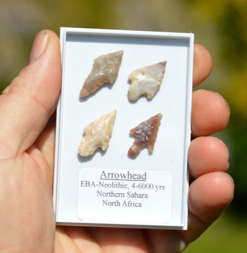 Set prehistoric neolithic - prehistoric,