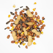 Kennedy Wild Squirrel Mix