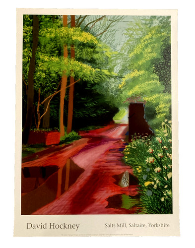 David hockney the arrival - hockney,