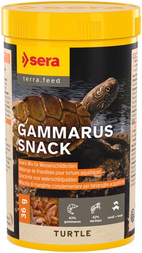 Sera turtle gammarus - turtle,