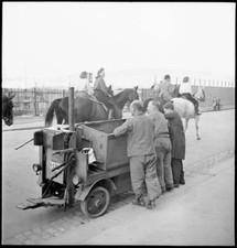 Men collecting potatoes in