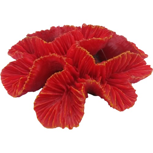 Bright red coral burst - bright, inch