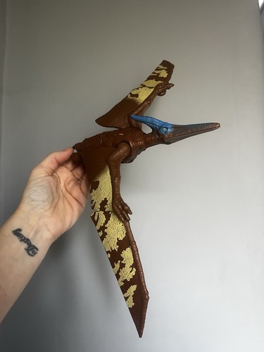 Dinosaurs pterodactyl - dinosaurs, /