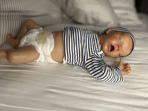 Reborn baby bonnie - reborn,