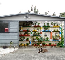 3D Water Pipe Potted Plant