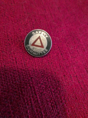 Vintage safety committee - vintage,