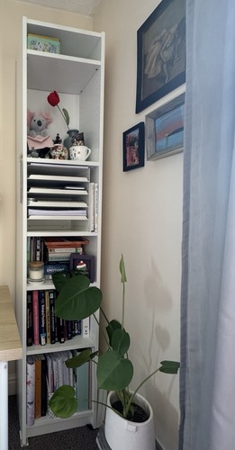 Ikea billy bookcase - ikea, bookcase,