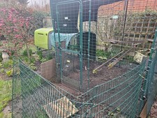 OMLETTE EGLU COOP AND WALK IN