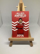 Liverpool FC Pin badge