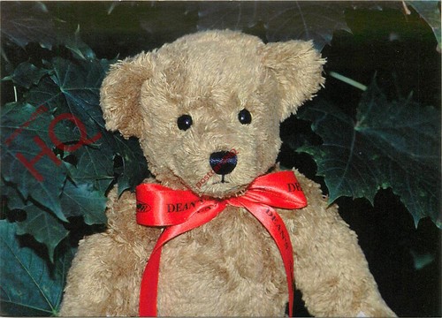 Picture postcard teddy - postcard>>teddy, bear