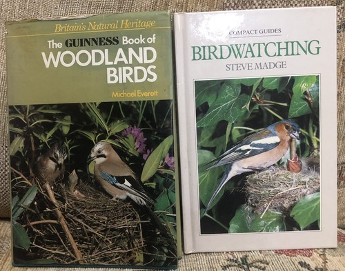 Guinness book woodland - guinness,