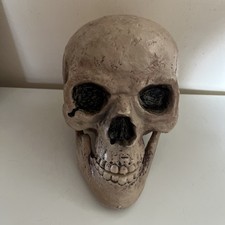 Halloween Horror Realistic Life Size Adult Skull Plastic Prop with Moveable Jaw