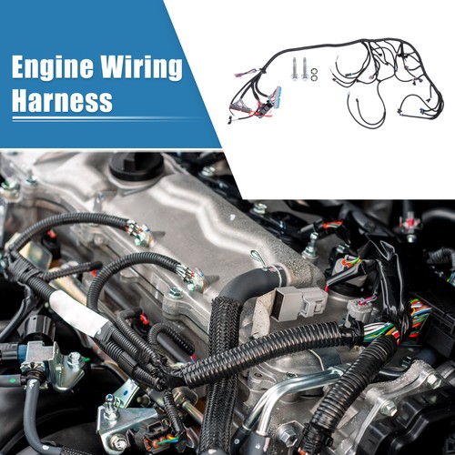 T56 standalone wiring - standalone, harness