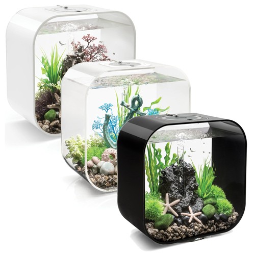 Life aquarium with multi - aquarium,