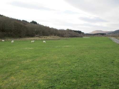Photo pasture land - pasture,