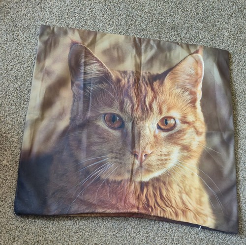 Cute ginger cat cushion - cat,