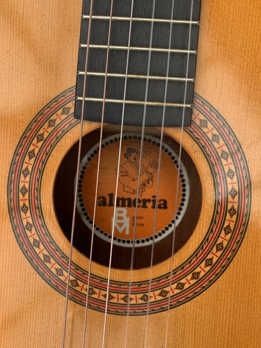 Vintage almeria acoustic - vintage,