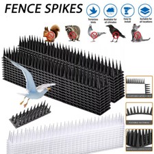 Bird spike 20m - spike, pigeon