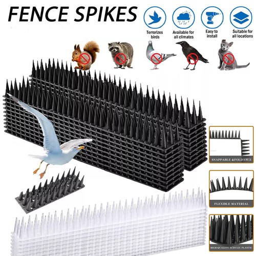 Bird spike 20m - spike, for