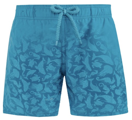 Nwt authentic vilebrequin swim - nwt,