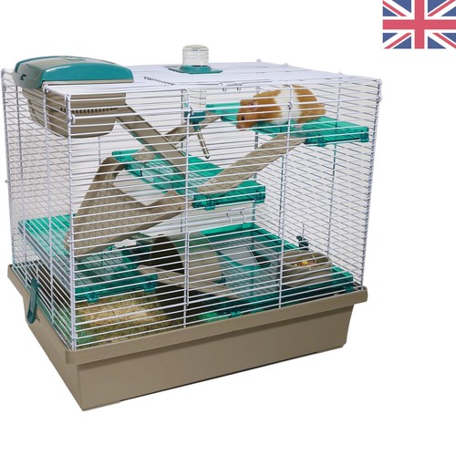Spacious tier rosewood teal - spacious,