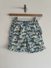 Vilebrequin Turtle Swimming