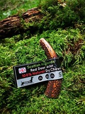 Deer antler dog - chew, long