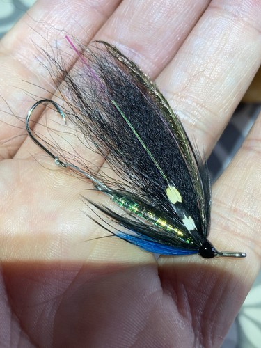 Fly fishing sea trout sewin - fishing,
