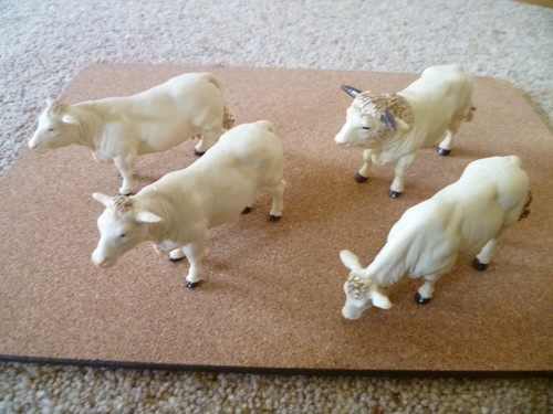 Britains charolais cows - charolais, &