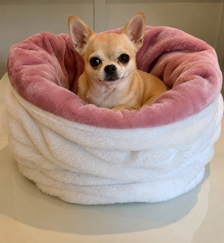 Snuggle sack small pet - snuggle, small,