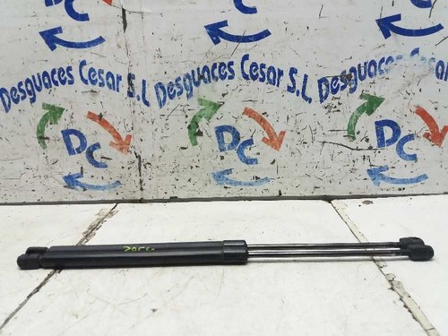 Tailgate gas strut 3035566 - tailgate,
