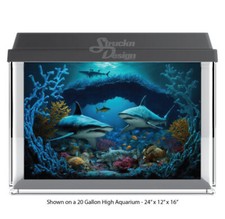 Sharks Ocean Sea Floor