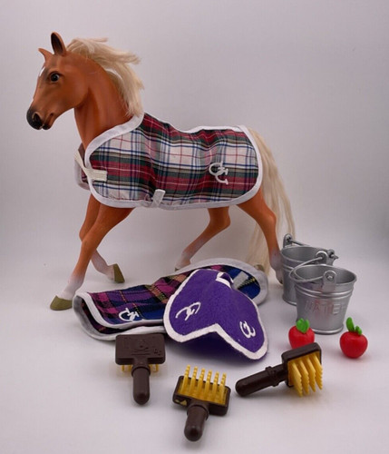Horse grand champion and - horse,